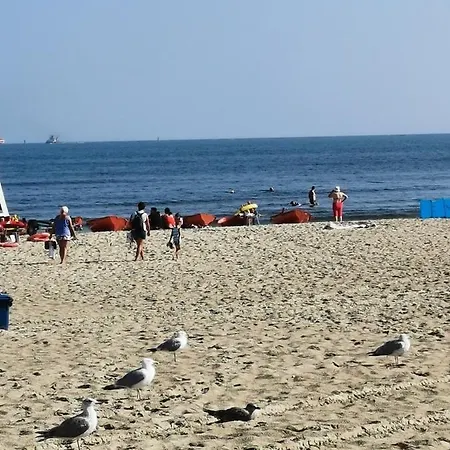 Parkidylle Daire Swinoujscie