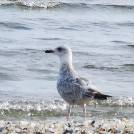 Parkidylle Swinoujscie